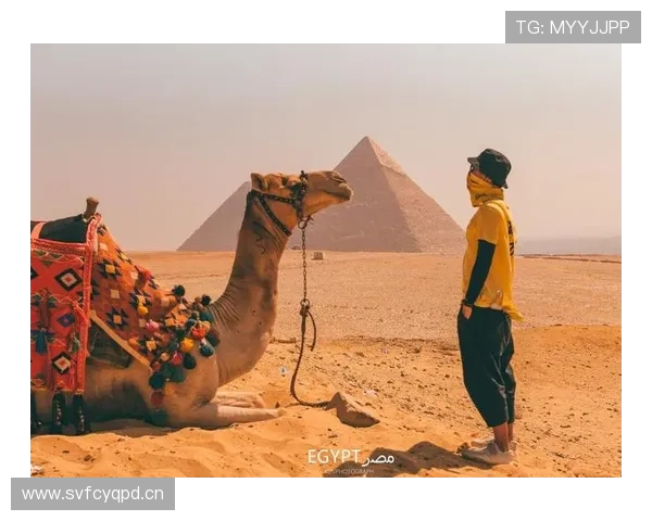 汪顺赛场上像邻家哥哥，私下生活却把普通人拉到另一个星球